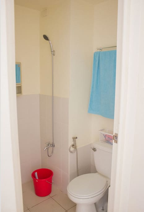 bathroom with bidet