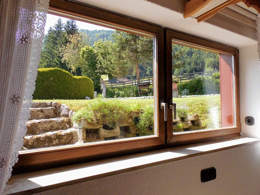 View from the living room window