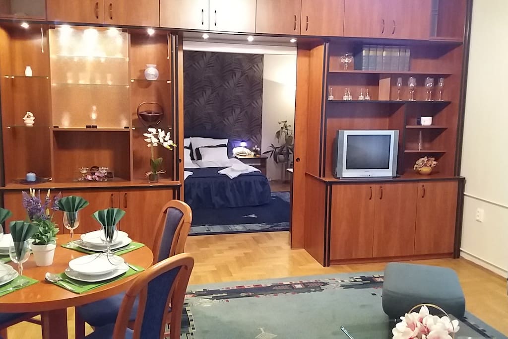 Living room bedroom