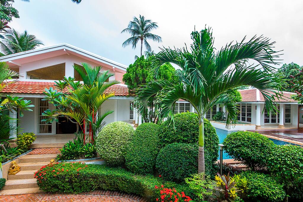 Lush greenery around the area