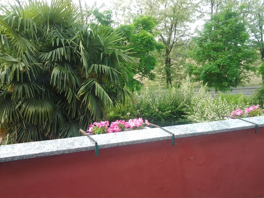 Vista dal balcone bagno