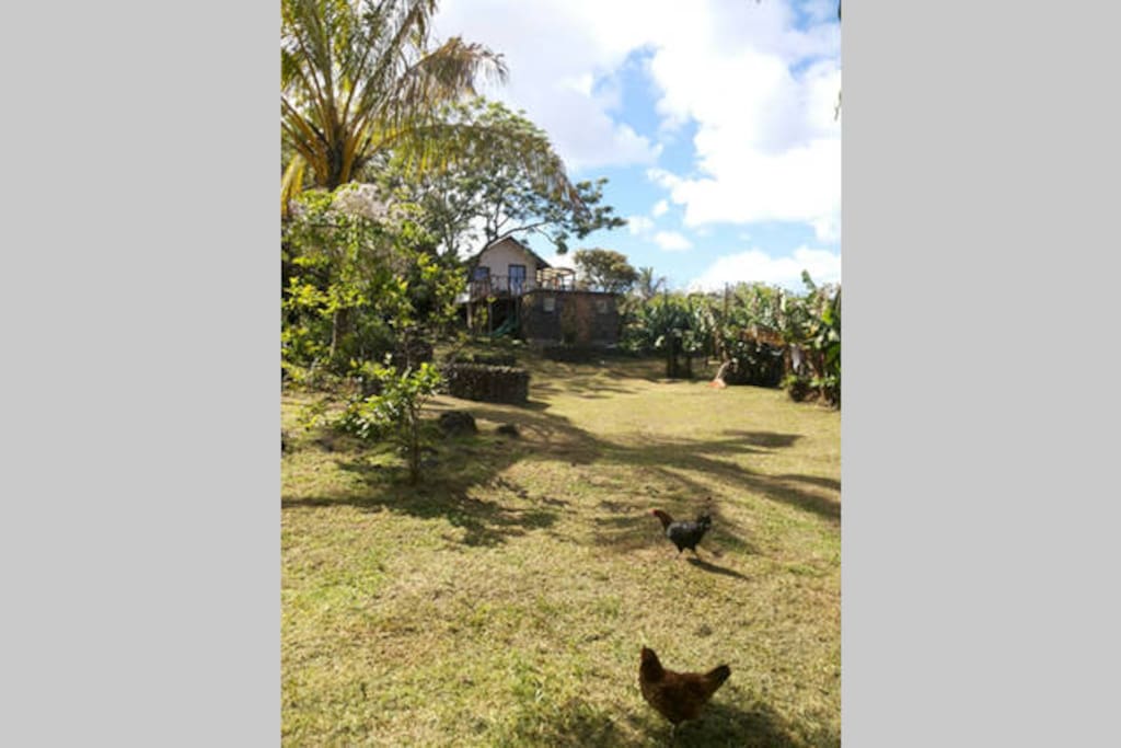 sector patio y vista a baño, cocina compartida y cabaña privada Ahirenga
