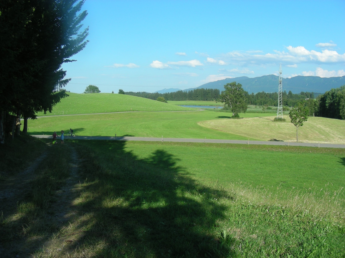 A broad expanse of lush green fields is captured under a clear blue sky. Rolling hills are visible in the distance, complemented by occasional trees and a power line. The serene landscape is framed by a dirt path leading down from the left, enhancing the peaceful atmosphere.
