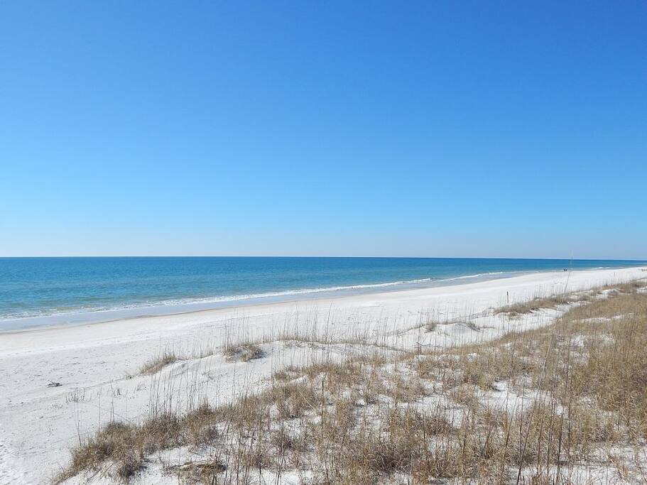 Gulf of Mexico Beach