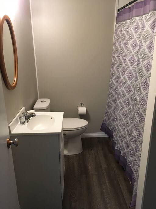 New bathroom with tub, shower, vanity, and toilet.
