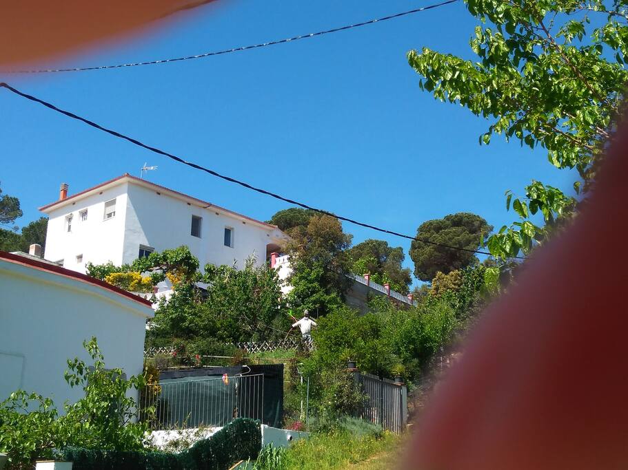 Villa Blanca