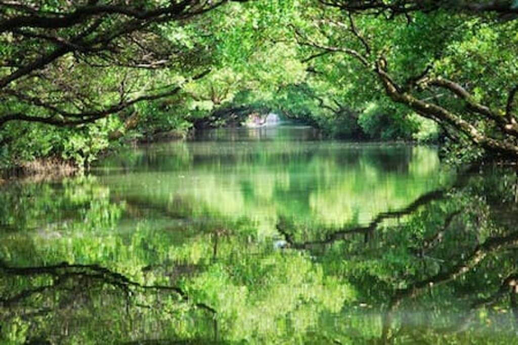 四草綠色隧道