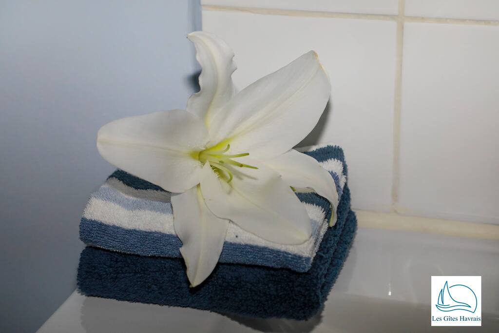 Salle de douche