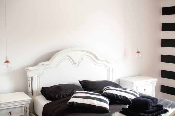 Santa Cruz Surfhouse "Greg Noll" Longterm !