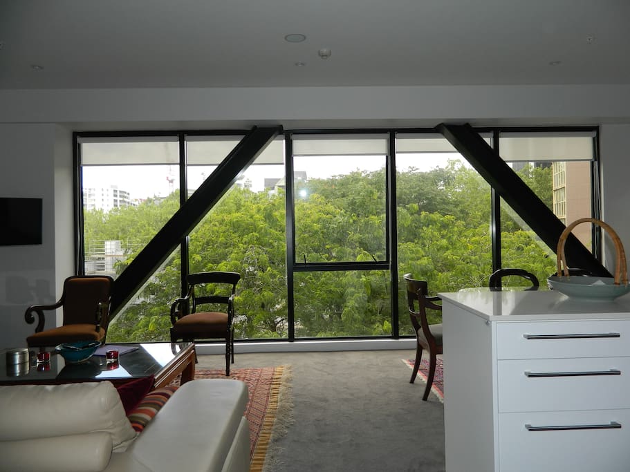 Front window
