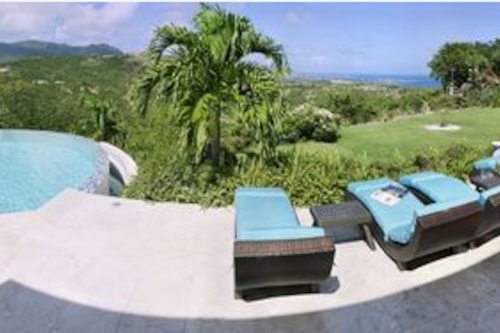 Lush Foliage and Views