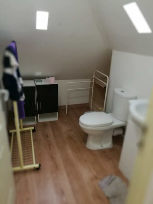 Salle de bain