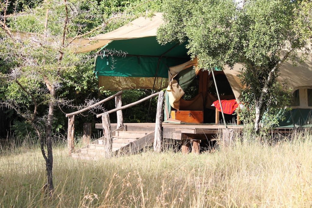 Each tent, with its bathroom, is set within surrounding bush without being visible to another.