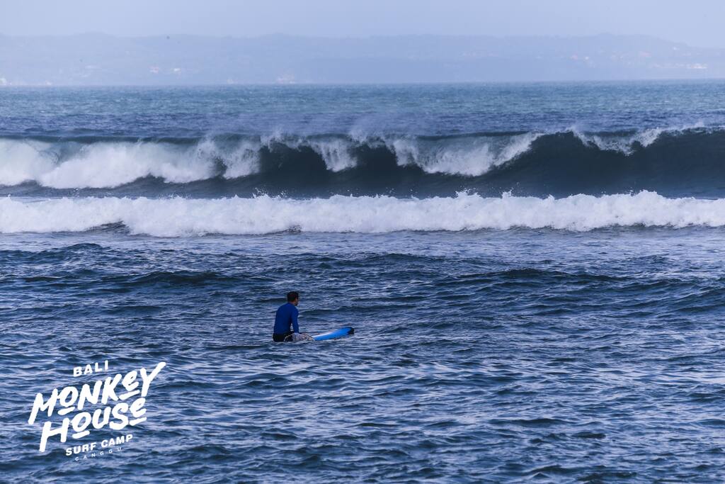 Surf Lesson - Bali Monkey House_Surf Camp, Canggu