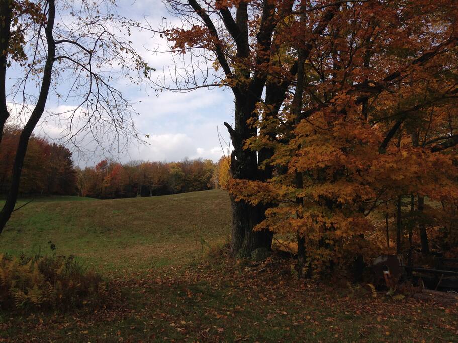 side hill view