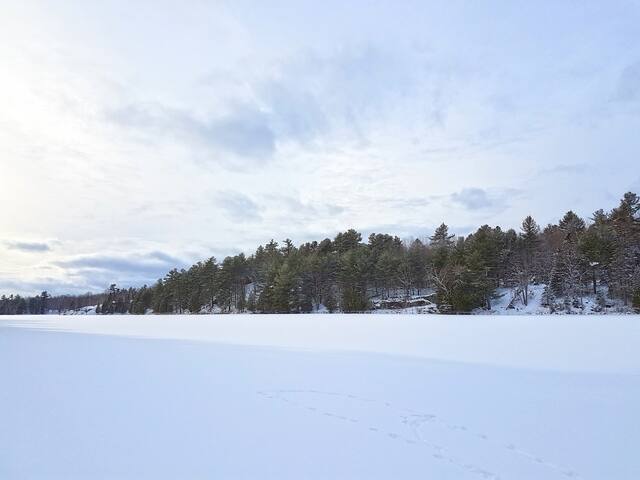 Lingham Lakes Camp: Yurt 350 acres & private lake