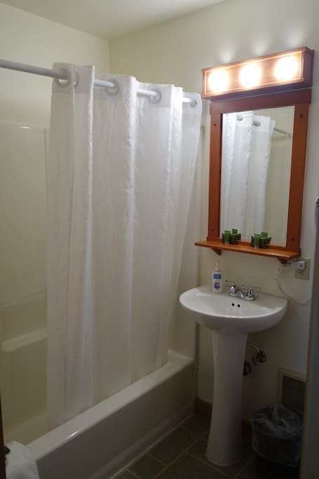 Tub/shower combo in bathroom. Hairdryer.