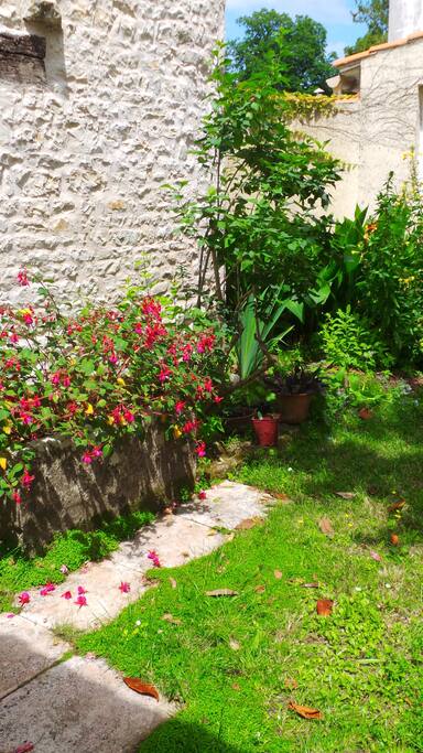 Vue sur le jardin