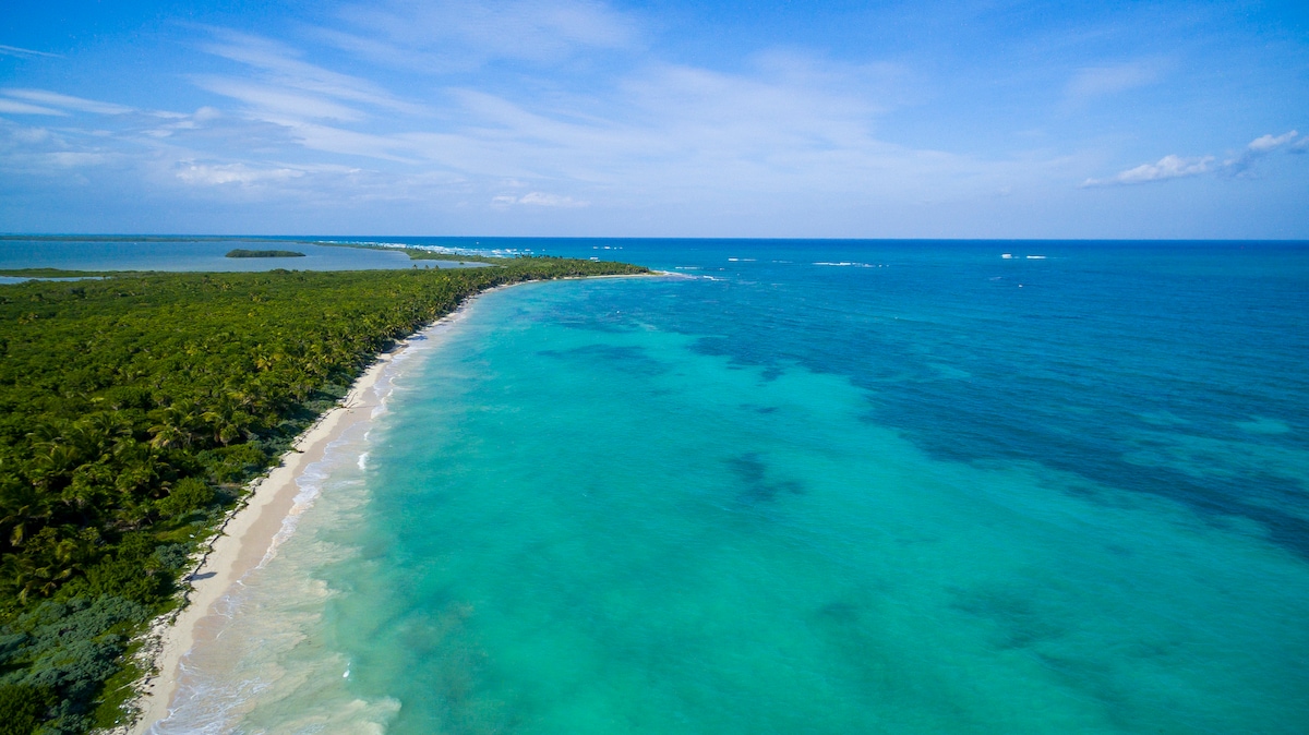 Aerial view of a serene coastline, where soft white sands meet the tranquil turquoise waters of the Caribbean Sea. Lush green vegetation lines the shore, contrasting with the vibrant blue hues of the ocean, creating a picturesque natural landscape.