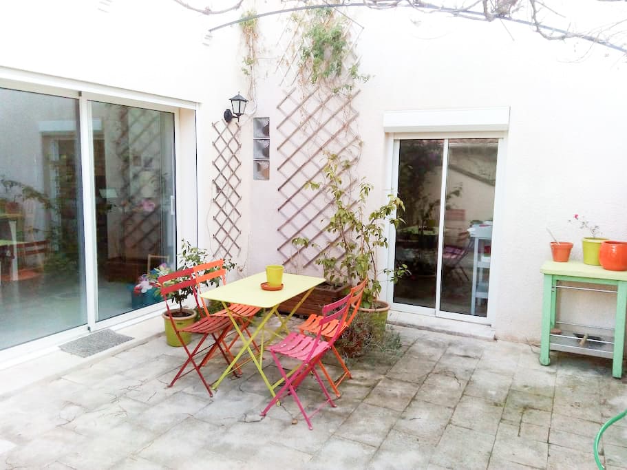 cour sud avec pergola vigne