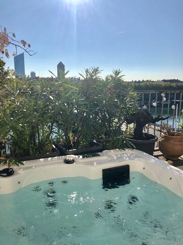 Appartement, cœur de Lyon avec terrasse et jacuzzi gallery image 2