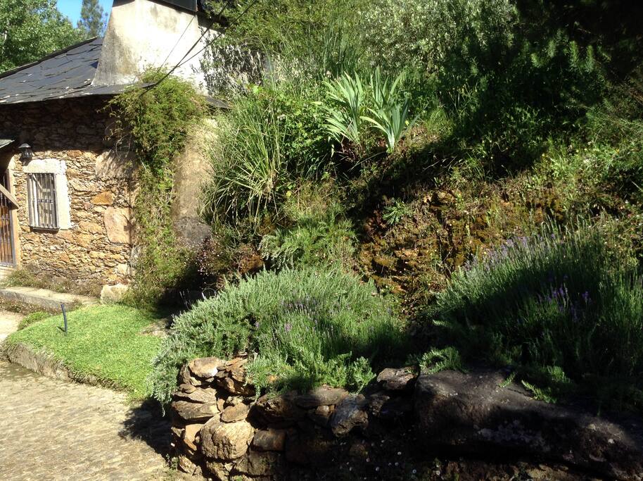 Fachada da SaberAmar Little Country, inserida na Natureza