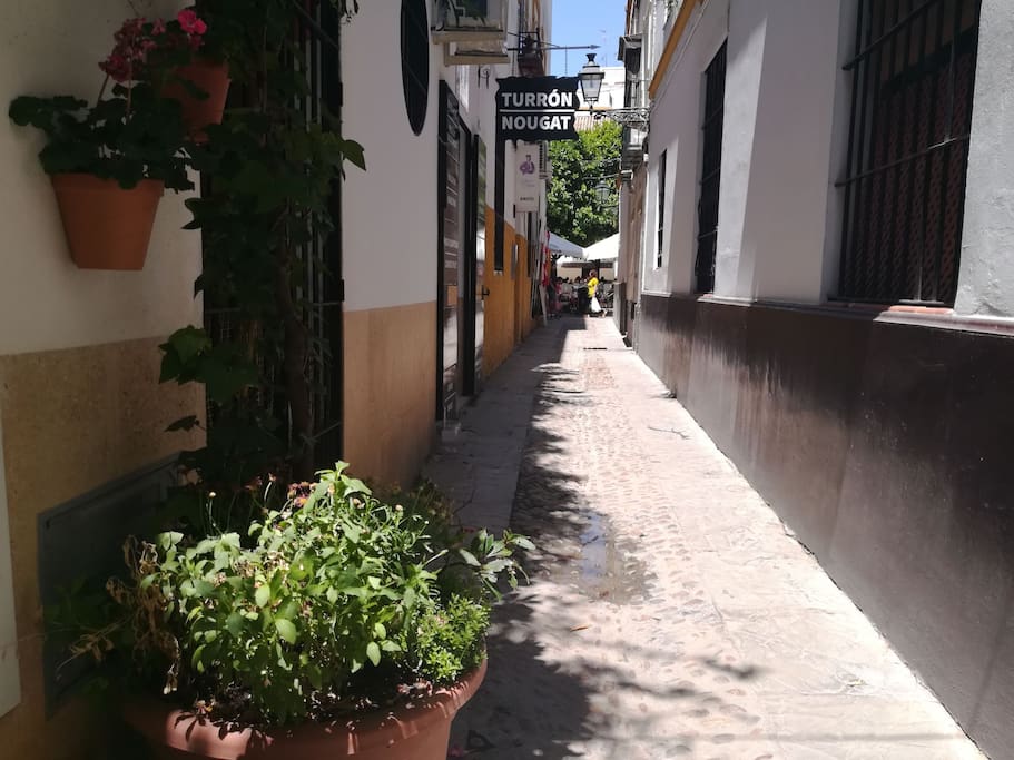 Calle Susona.Plaza de Doña Elvira.Barrio Santa Cruz