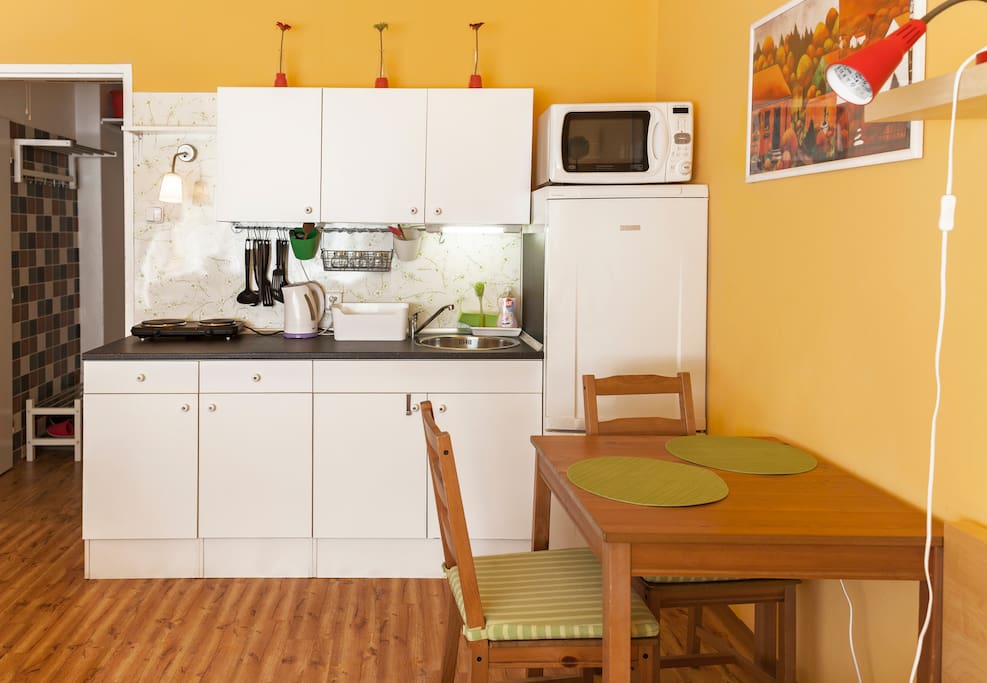 Equipped kitchen with cooker, microwave oven and fridge. Dishes included