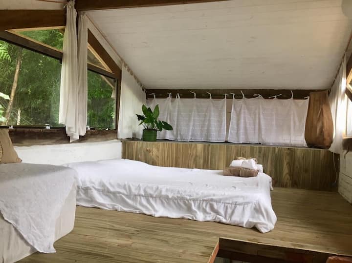 Quarto 2