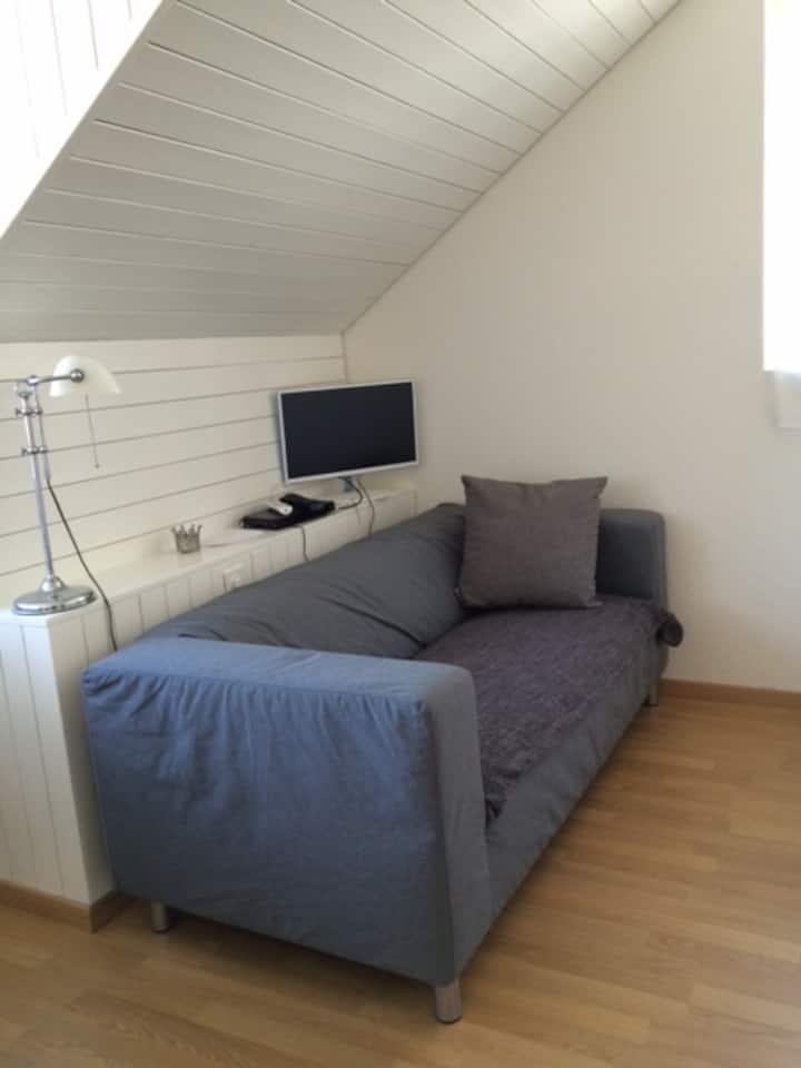 Living & Homeoffice With Absolutely Dream Views ! - Zürich