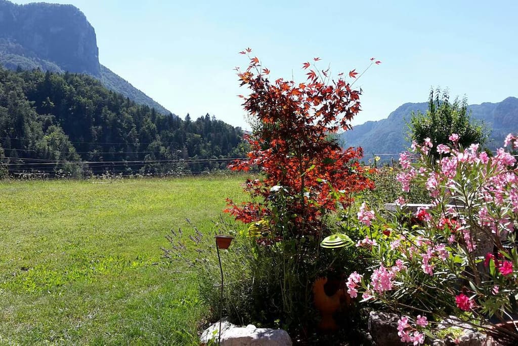 Garden in front of the house