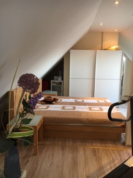 Das Wasserbett mit intergrierte Beleuchtung