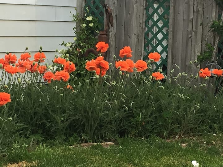 Richibucto River Vacation Rentals & Homes New Brunswick, Canada Airbnb