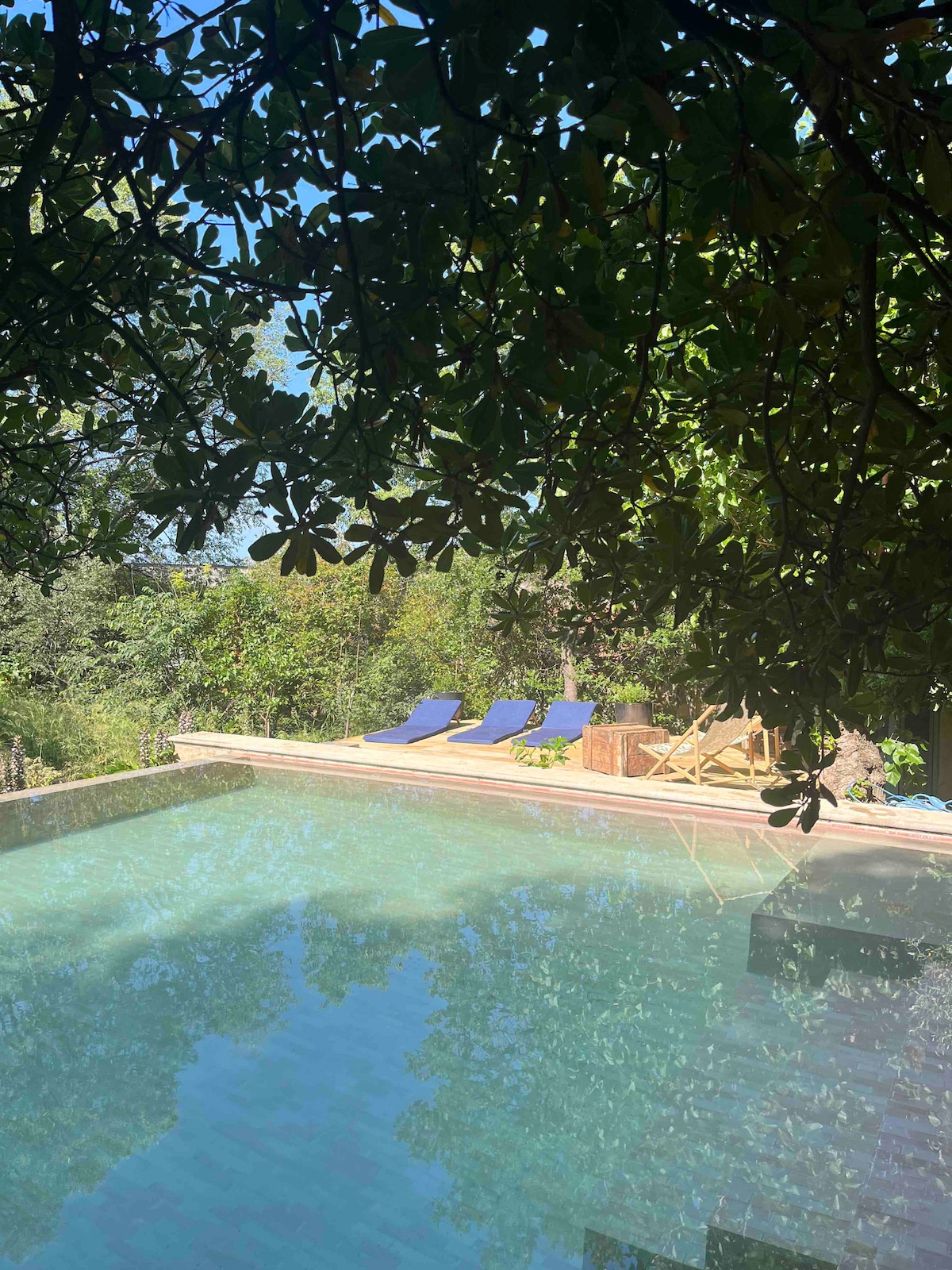 An inviting swimming pool is framed by lush greenery and shaded by overhead foliage. Blue lounge chairs positioned around the poolside offer a relaxing area for guests. The tranquil water surface reflects the surrounding nature, creating a serene outdoor setting.