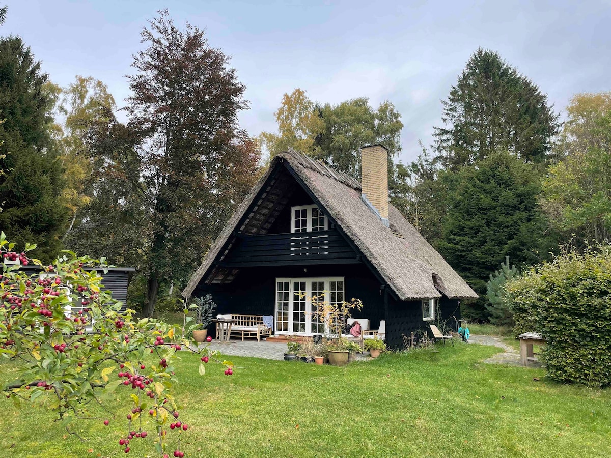 Tisvilde Hegn Vacation Rentals & Homes - Denmark | Airbnb