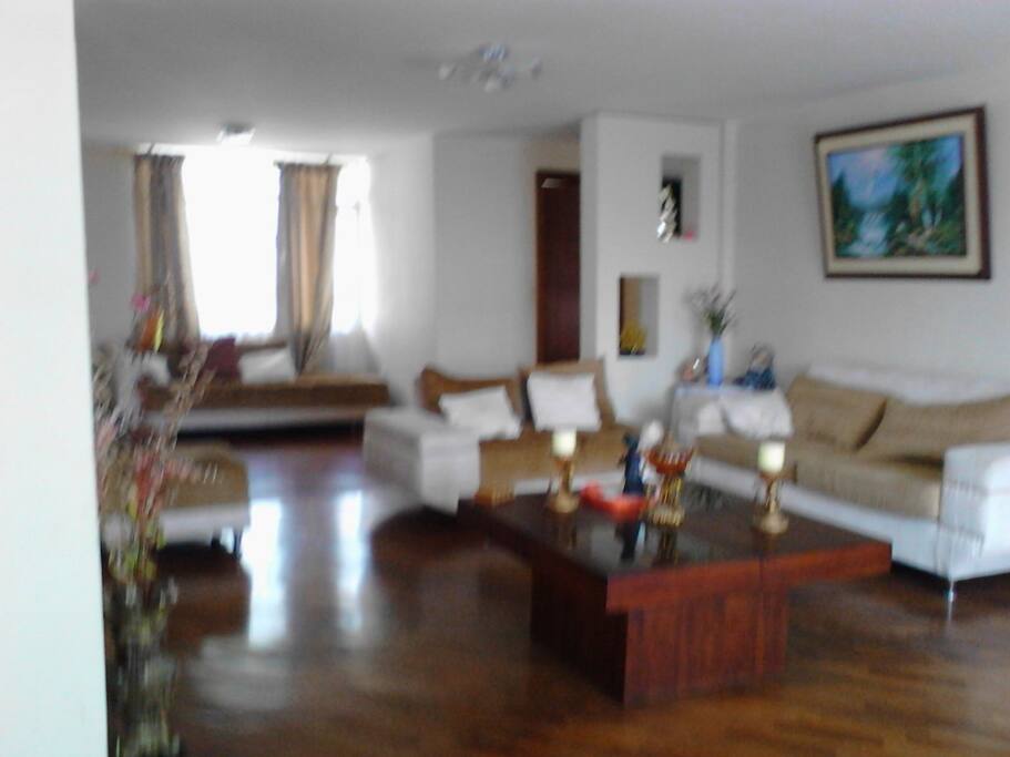 cozy and comfy living room