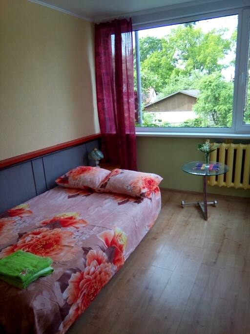 Vue de la chambre :canapé-lit pour 2 personnes