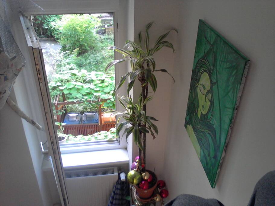 View from Bed