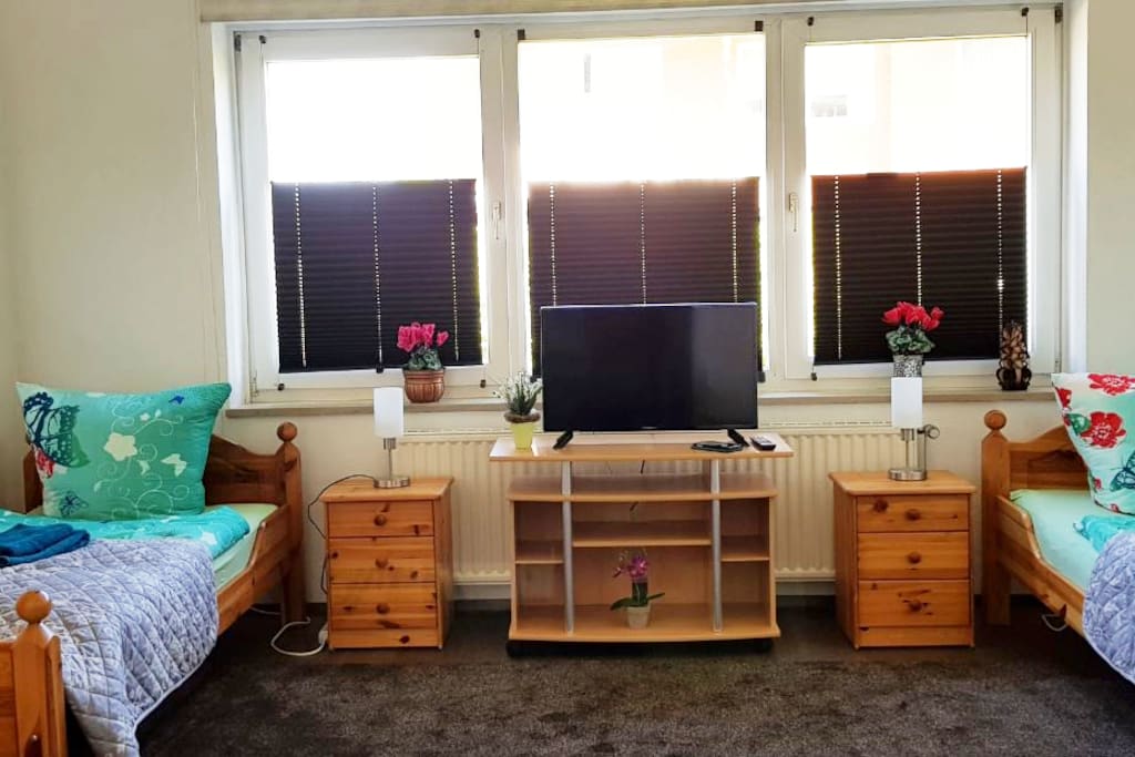 Wohnzimmer/Schlafzimmer 1