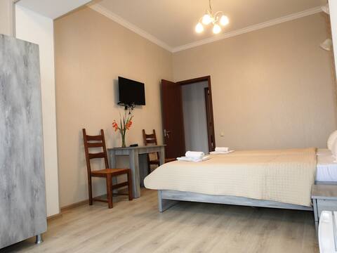 White Hotel Zugdidi Double room