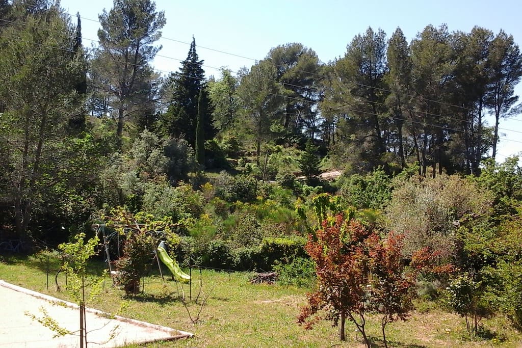 Une vue du jardin.