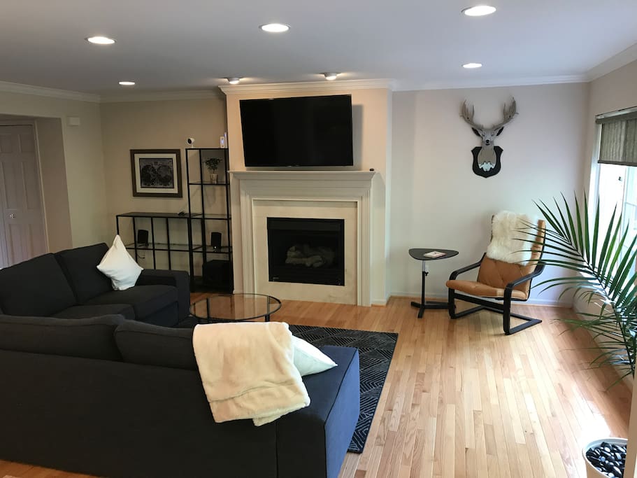 55'' smart TV and Klipsch speakers for music
