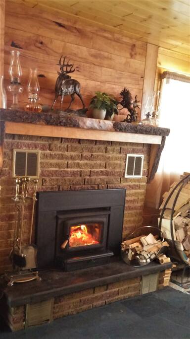 A cozy fireplace for cold winter days and relaxation any day!