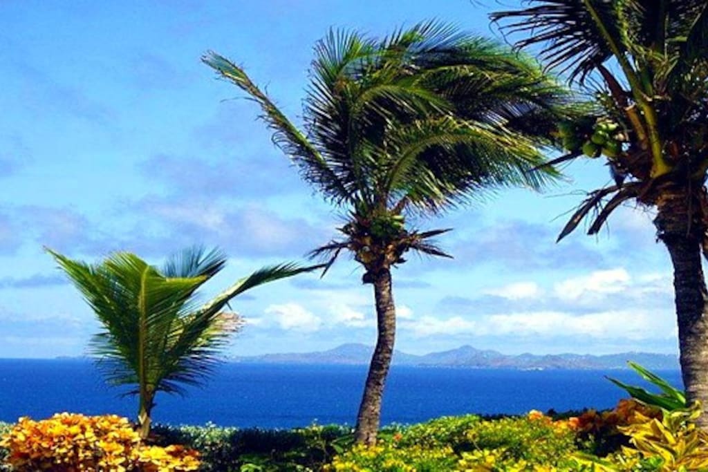 A poolside paradise that really wows.