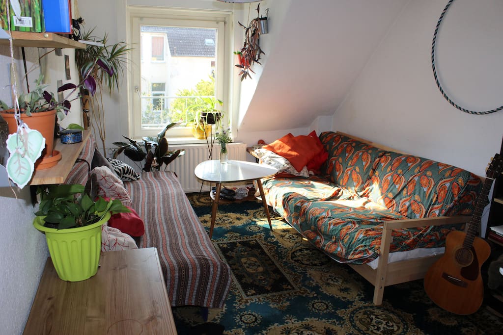 Das Wohnzimmer mit Schlafcouch