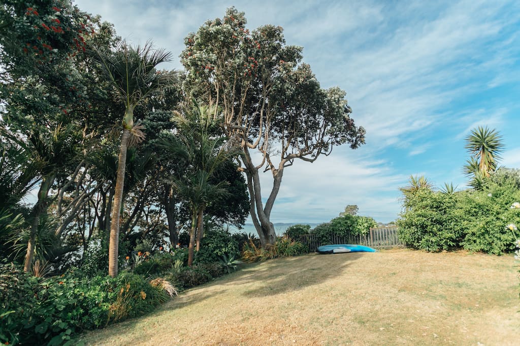 Bush and Sea