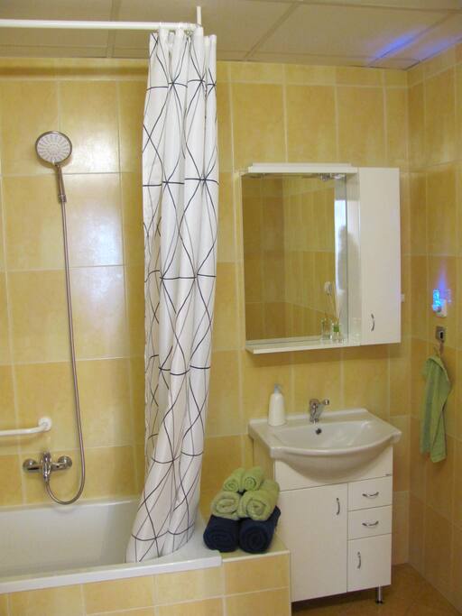 Koupelna - je libo sprcha, nebo relaxace ve vaně?