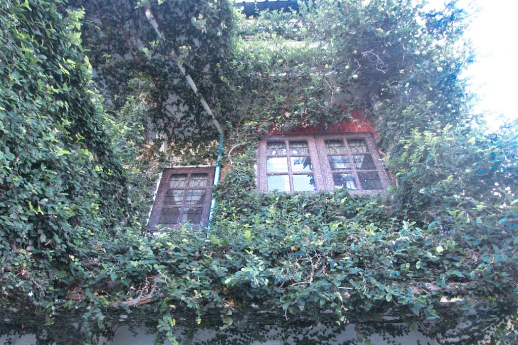 Classic and ivy embedded house.