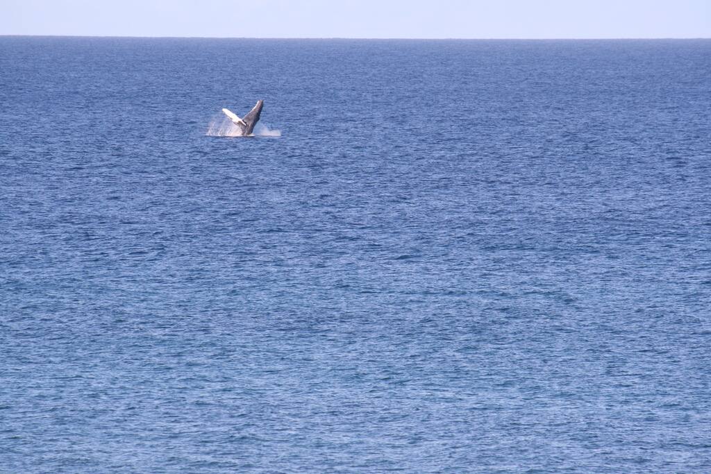 Picture I took from the Lanai of the condo!