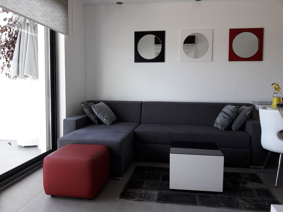 Sofa bed (good for two)